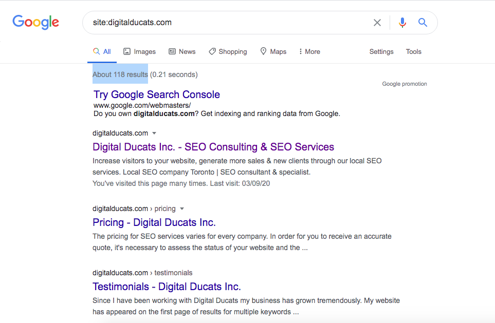 Check the small business SEO status in regards to indexed pages using Google Site search