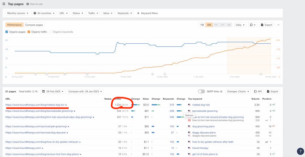 ahrefs top pages report to show traffic on top pages of website so you figure out how to generate more leads for your website